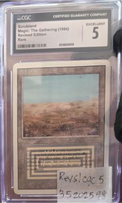 Picture of Scrubland