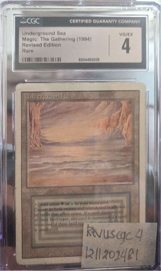 Picture of Underground Sea 