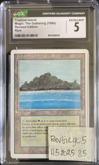 Picture of Tropical Island