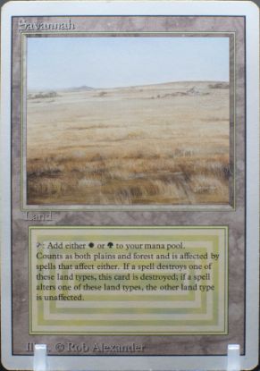 REVSANM- 1012025293 FRONT